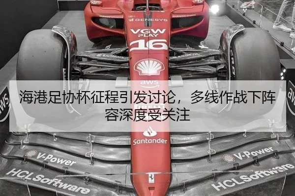 海港足协杯征程引发讨论，多线作战下阵容深度受关注